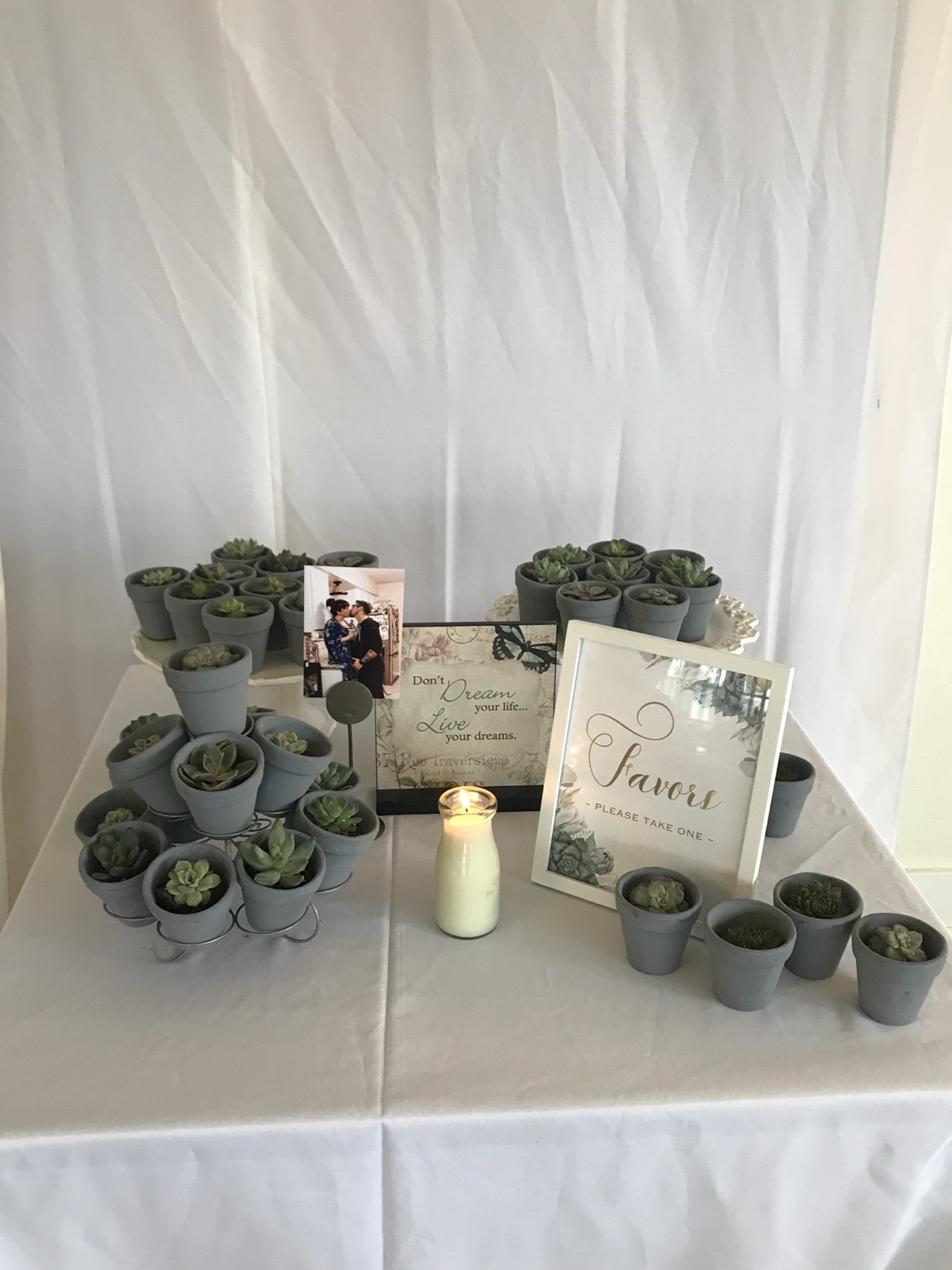 Small potted succulent baby shower favors arranged beside framed signage